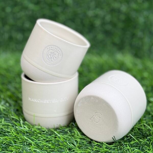 Manchester City Fc Cup