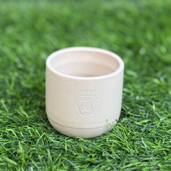 Alwasl Cup